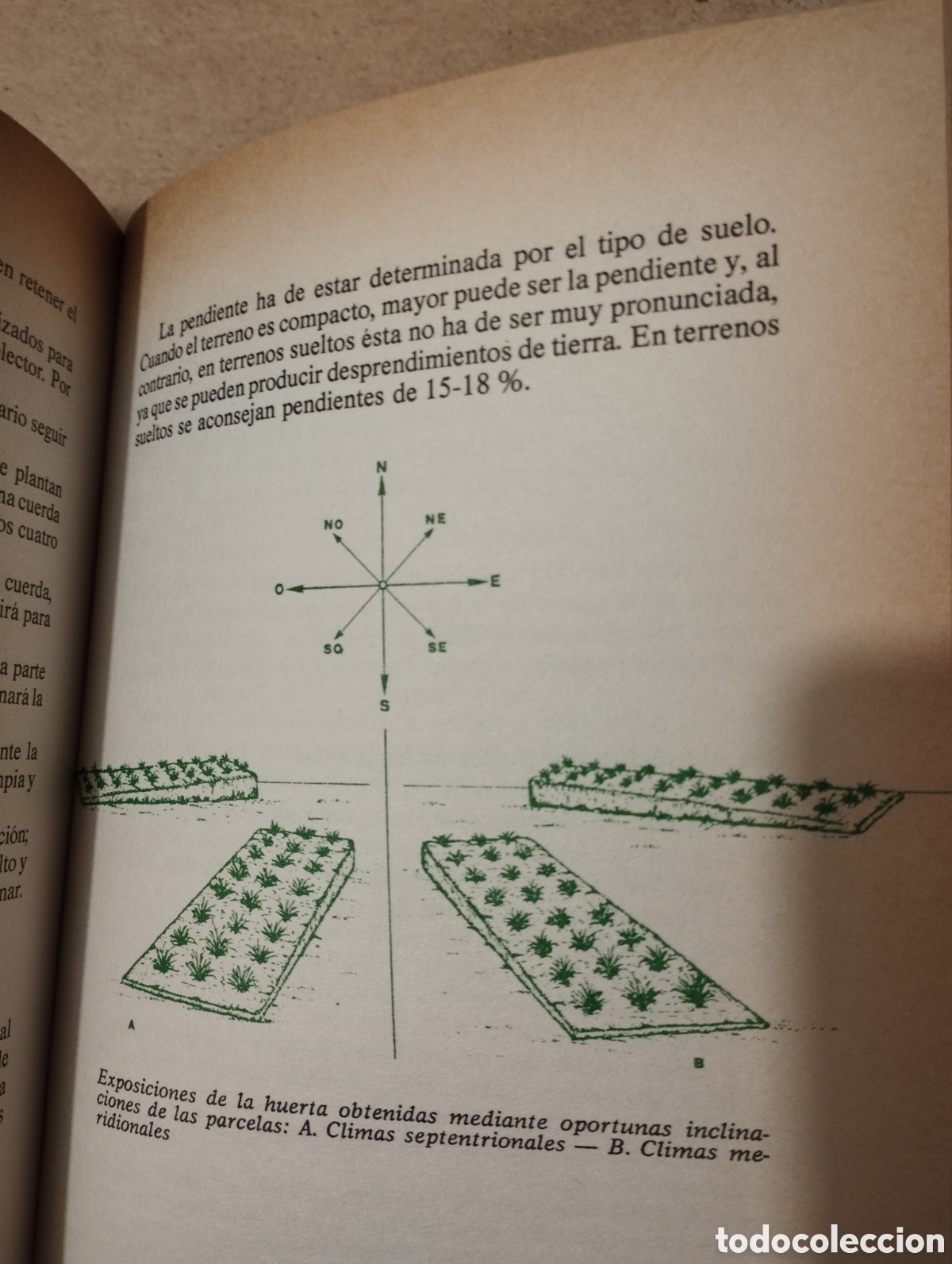 Libros de segunda mano: HORTICULTURA RENTABLE (ISIDRO CAMPOS) - Foto 7