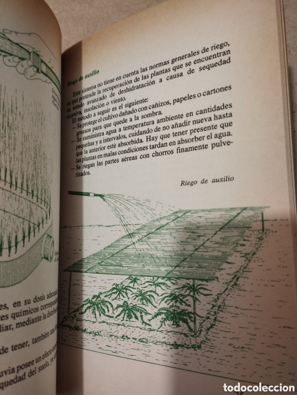 Libros de segunda mano: HORTICULTURA RENTABLE (ISIDRO CAMPOS) - Foto 8