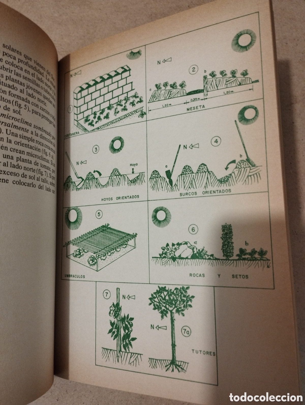 Libros de segunda mano: HORTICULTURA RENTABLE (ISIDRO CAMPOS) - Foto 10