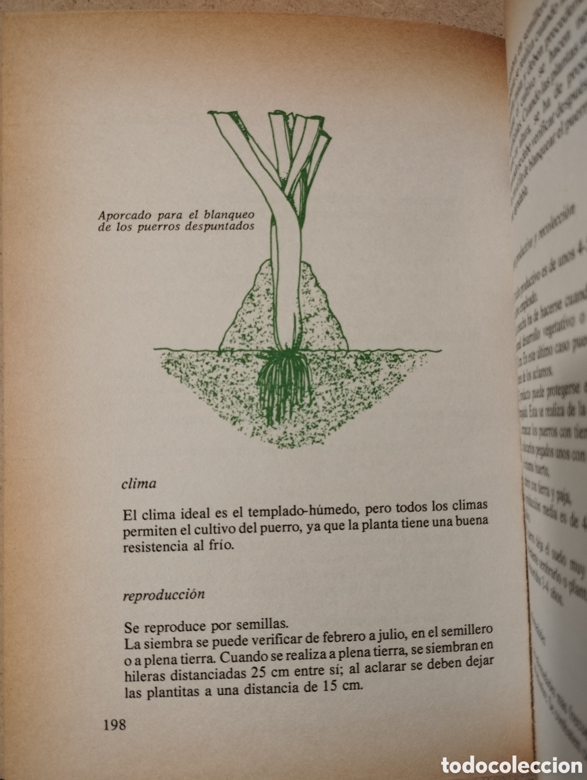 Libros de segunda mano: HORTICULTURA RENTABLE (ISIDRO CAMPOS) - Foto 11