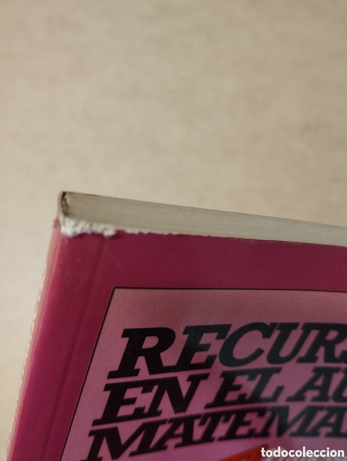 Libros de segunda mano de ciencias: RECURSOS EN EL AULA DE MATEM&Aacute;TICAS (FRANCISCO HERN&Aacute;N / ELISA CARRILLO) - Foto 2