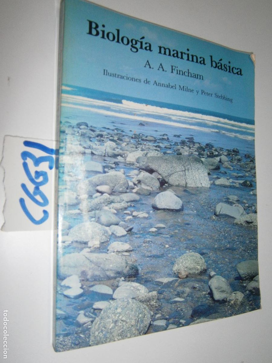 Libros de segunda mano: BIOLOGIA MARINA BASICA - Foto 1