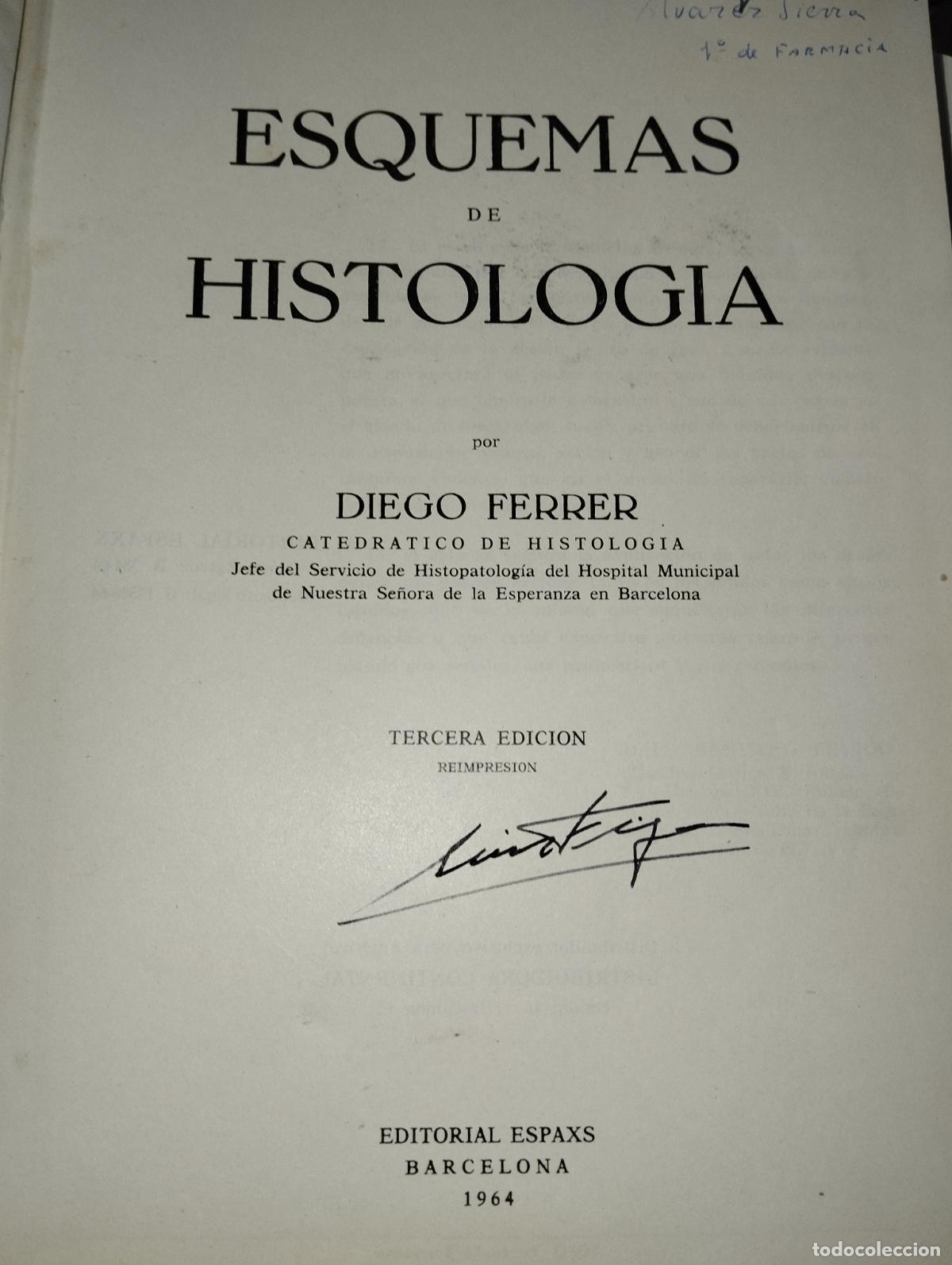 Libros de segunda mano: ESQUEMAS DE HISTOLOG&Iacute;A // DIEGO FERRER - Foto 2