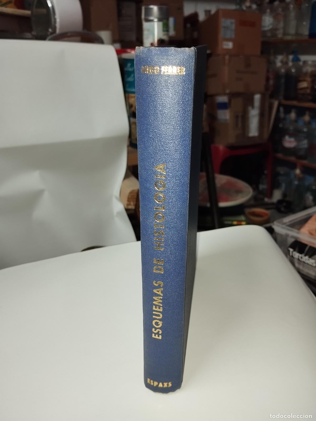 Libros de segunda mano: ESQUEMAS DE HISTOLOG&Iacute;A // DIEGO FERRER - Foto 1