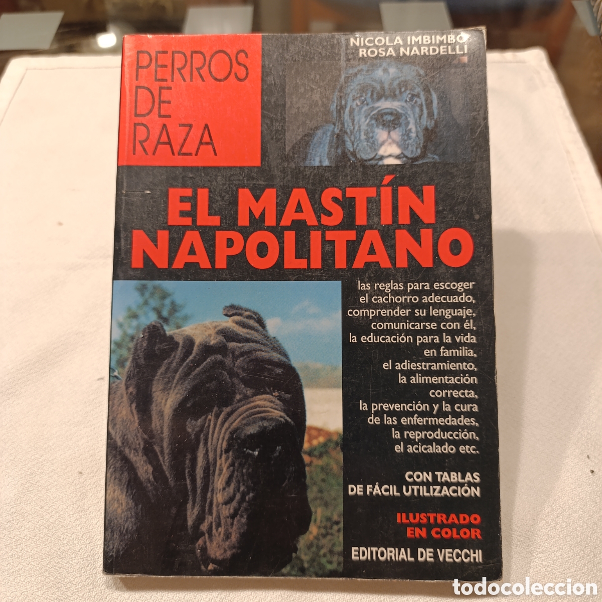 Libros de segunda mano: EL MASTIN NAPOLITANO,PERROS DE RAZA - Foto 1