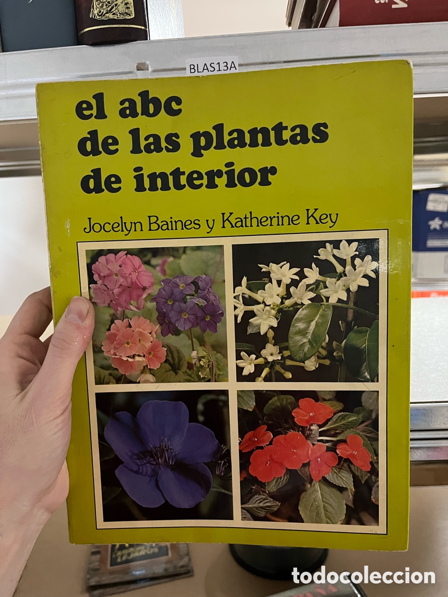 Libros de segunda mano: BLAS13A el ABC de las plantas de interior Jocelyn Baines y Katherine Key - Foto 1