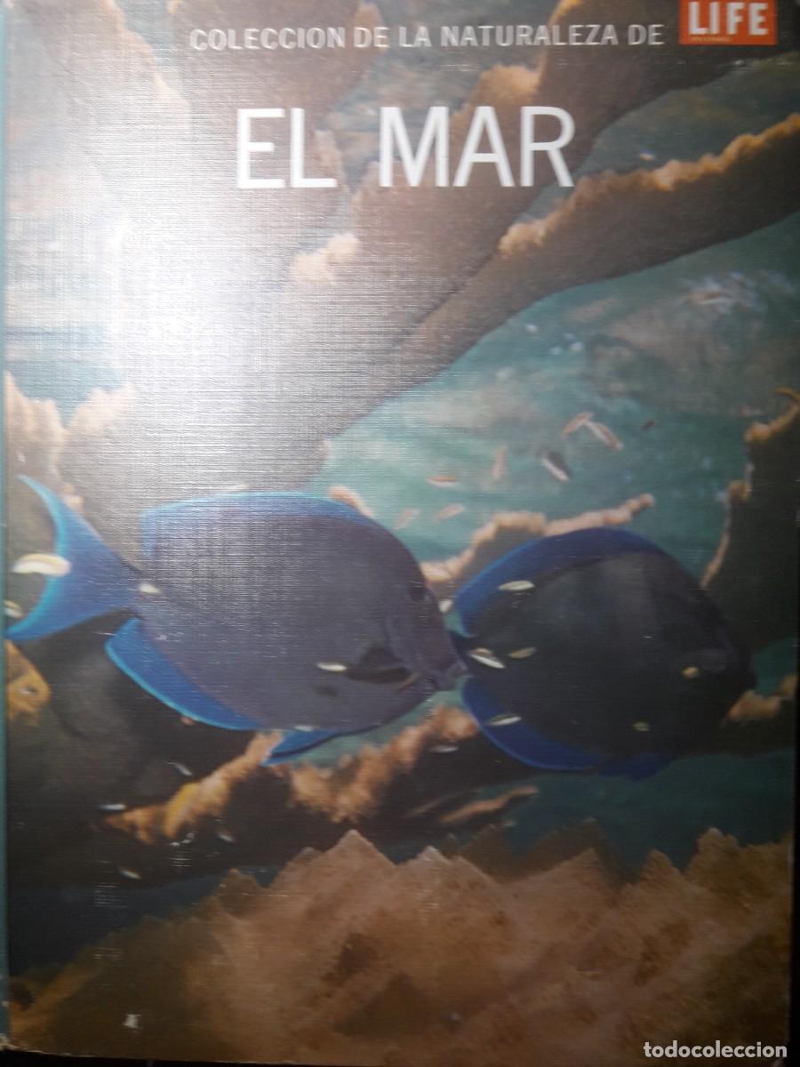 Libros de segunda mano: el mar Leonard Engel y redactores LIFE en espa&ntilde;ol - Foto 1