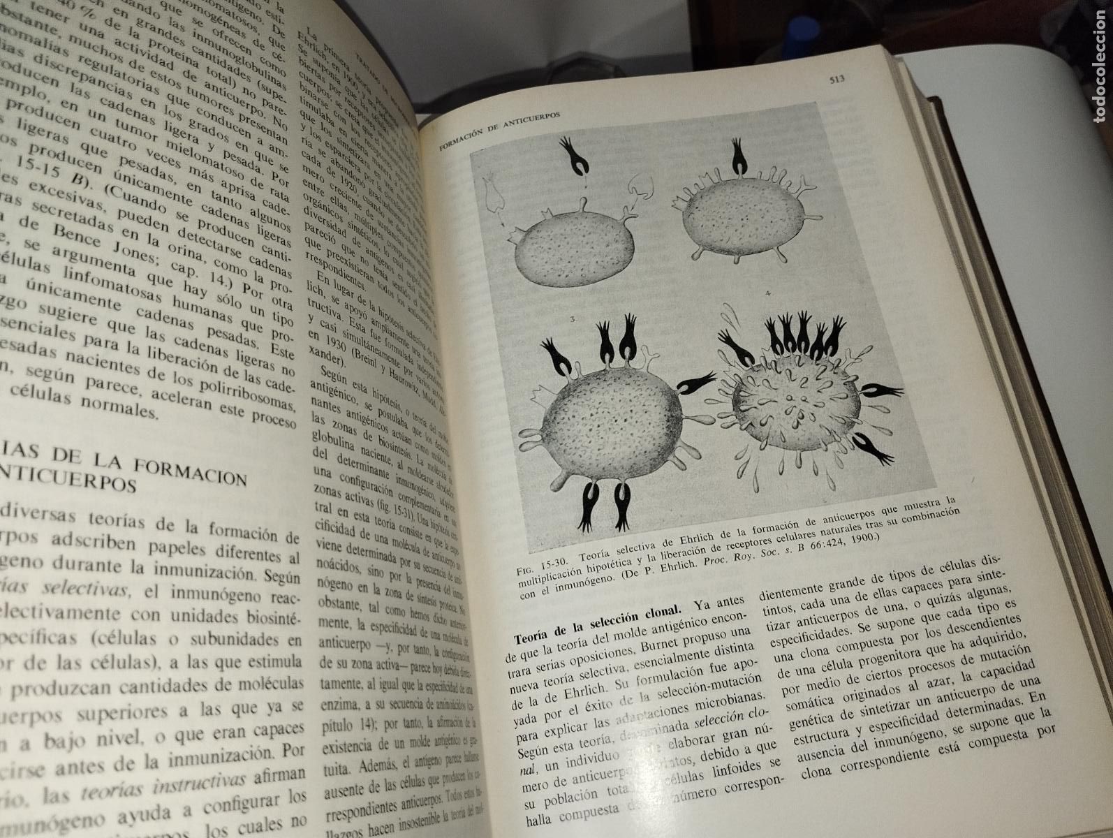 Libros de segunda mano: LIBRO TRATADO DE MICROBIOLOG&Iacute;A ED. SALVAT - Foto 5