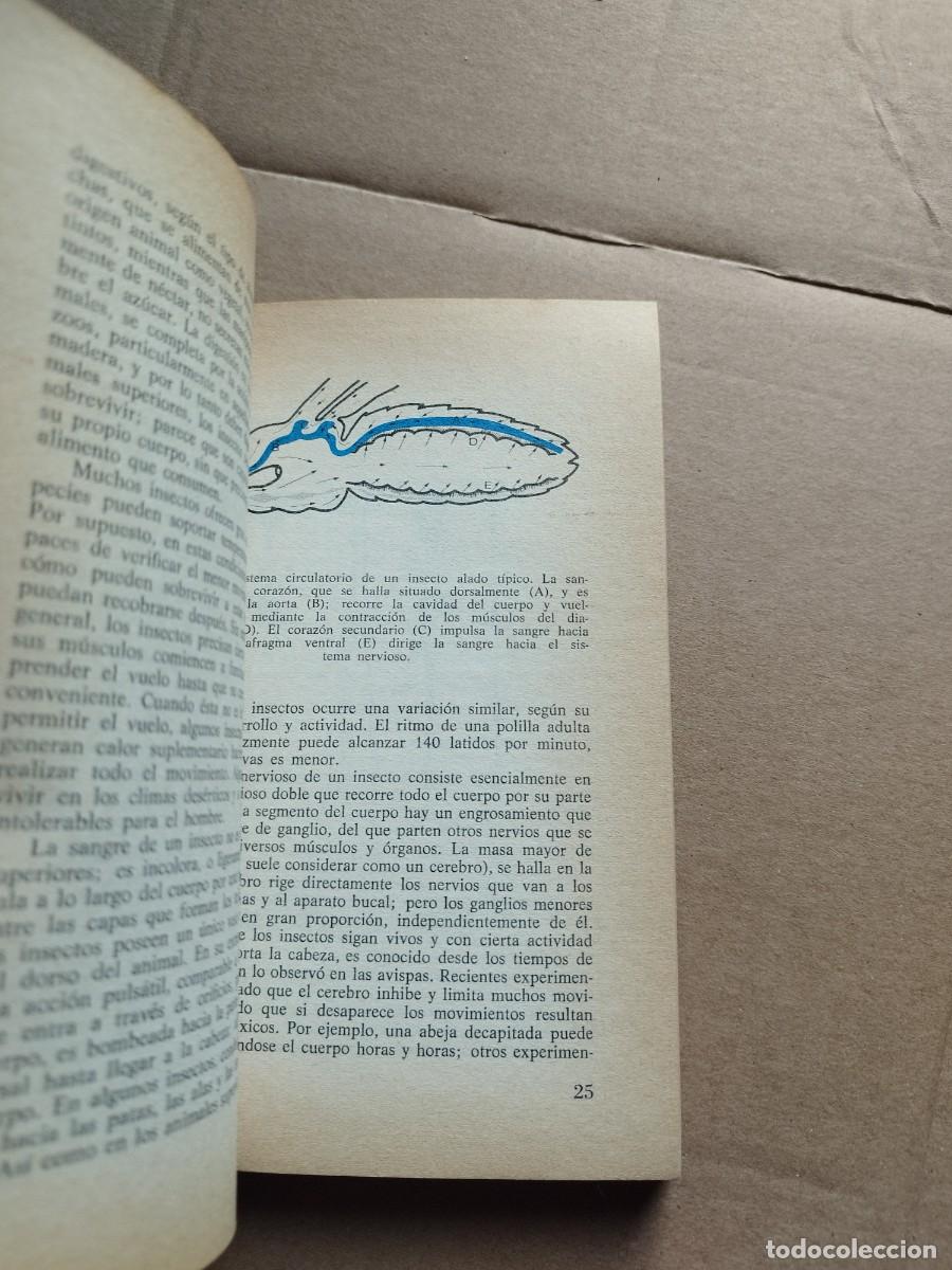 Libros de segunda mano: El mundo de los insectos - Foto 3