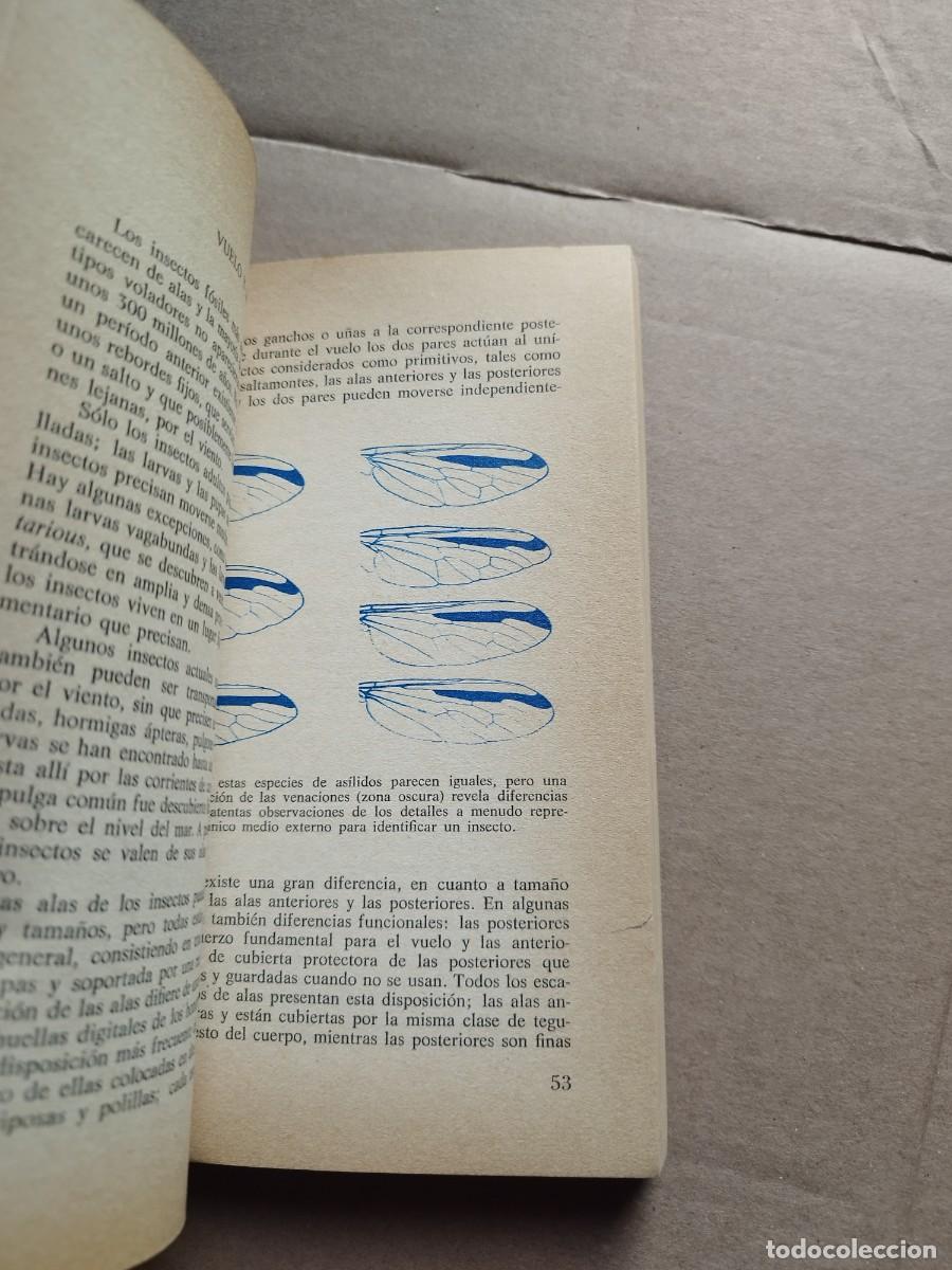 Libros de segunda mano: El mundo de los insectos - Foto 4