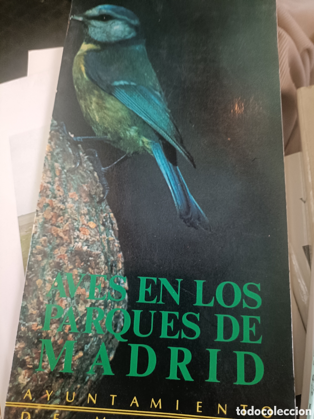 Libros de segunda mano: Aves en los parques de Madrid 1985 - Foto 1