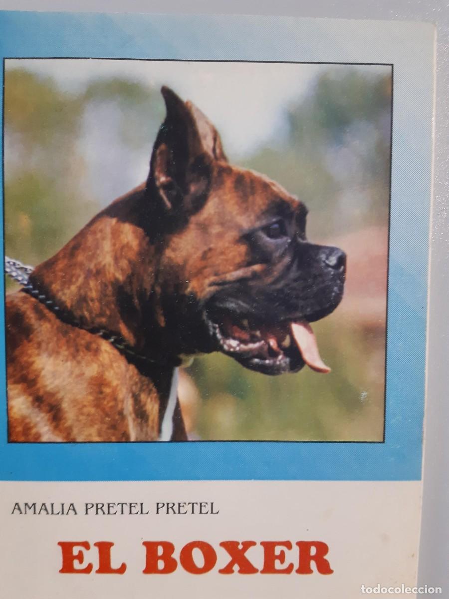 Libros de segunda mano: EL BOXER AMALIA PRETEL PRETEL - Foto 1