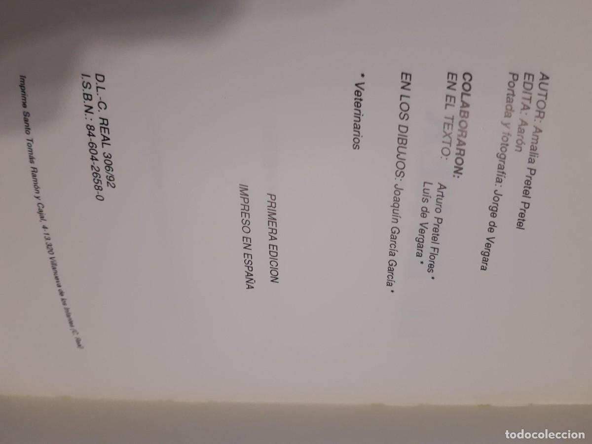 Libros de segunda mano: EL BOXER AMALIA PRETEL PRETEL - Foto 2