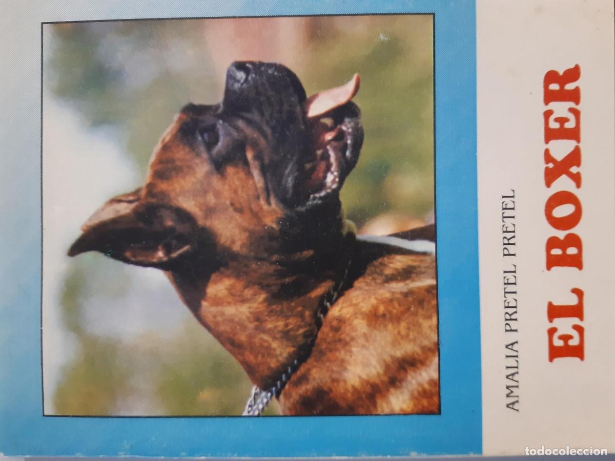 Libros de segunda mano: EL BOXER AMALIA PRETEL PRETEL - Foto 4