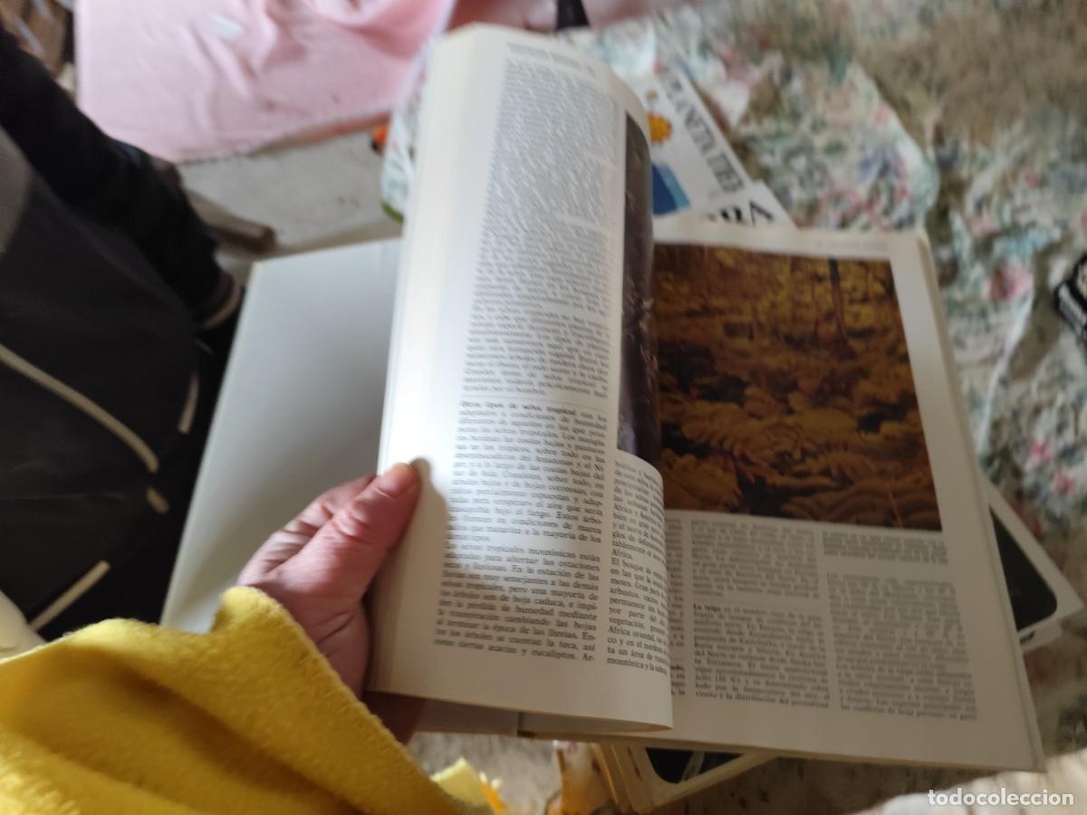 Libros de segunda mano: PLANETA TIERRA, 12 TOMOS, CIRCULO LECTORES - Foto 10