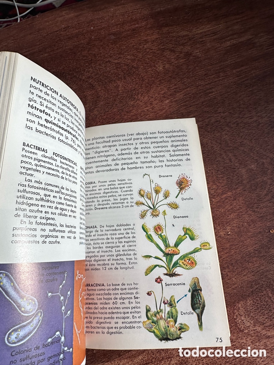 Libros de segunda mano: Bot&aacute;nica Peque&ntilde;a biblioteca Daimon - Foto 4
