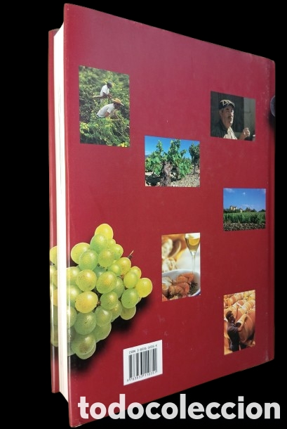Libros de segunda mano: EL VINO. Andr&eacute; Domin&eacute;. 2004. - Foto 2