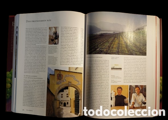 Libros de segunda mano: EL VINO. Andr&eacute; Domin&eacute;. 2004. - Foto 3