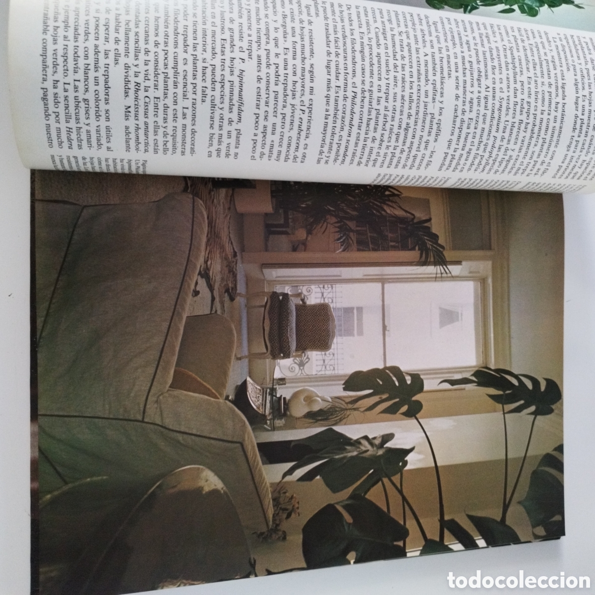 Libros de segunda mano: LIBRO / FLORES Y PLANTAS EN CASA / VIOLET STEVENSON / 1978 - Foto 2