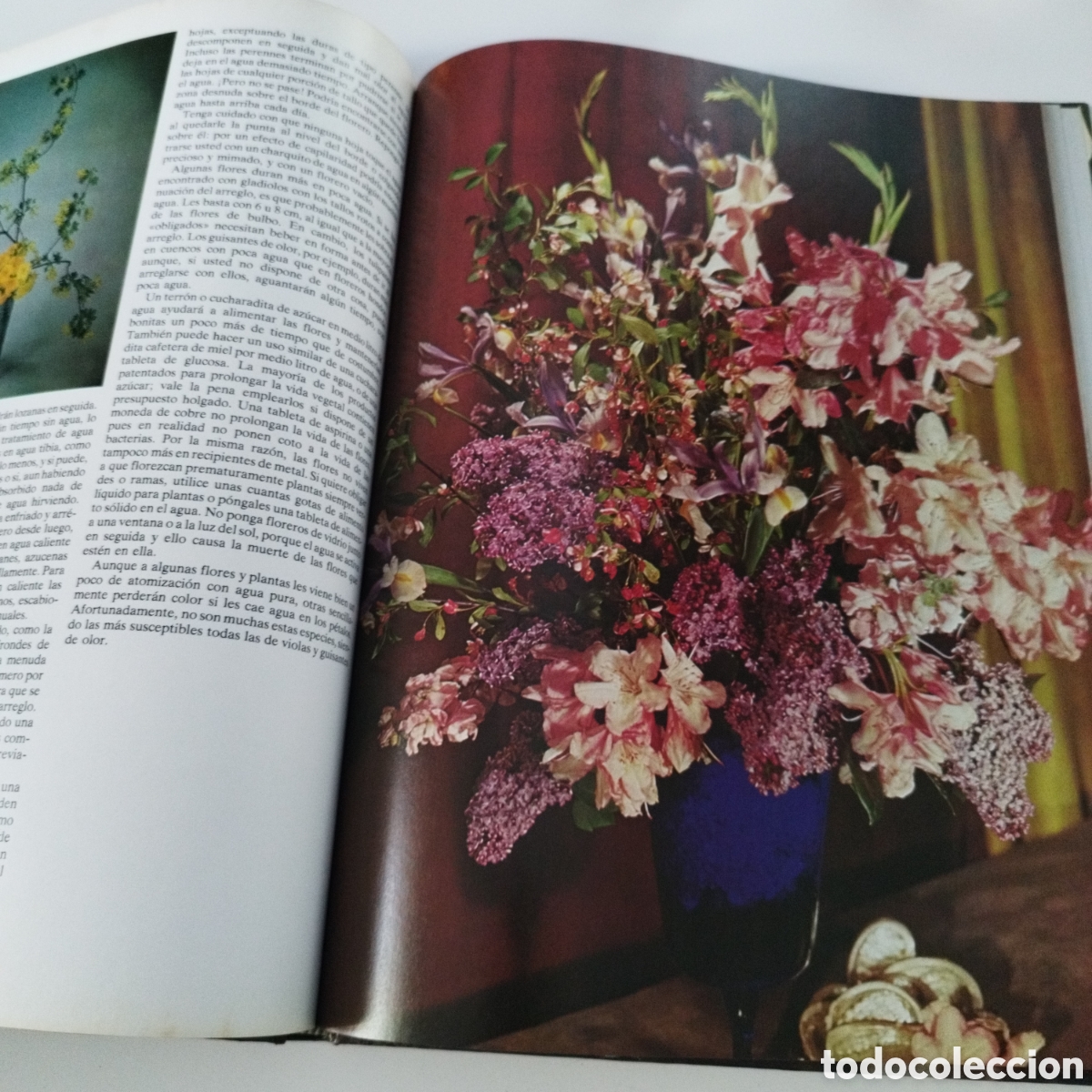 Libros de segunda mano: LIBRO / FLORES Y PLANTAS EN CASA / VIOLET STEVENSON / 1978 - Foto 4