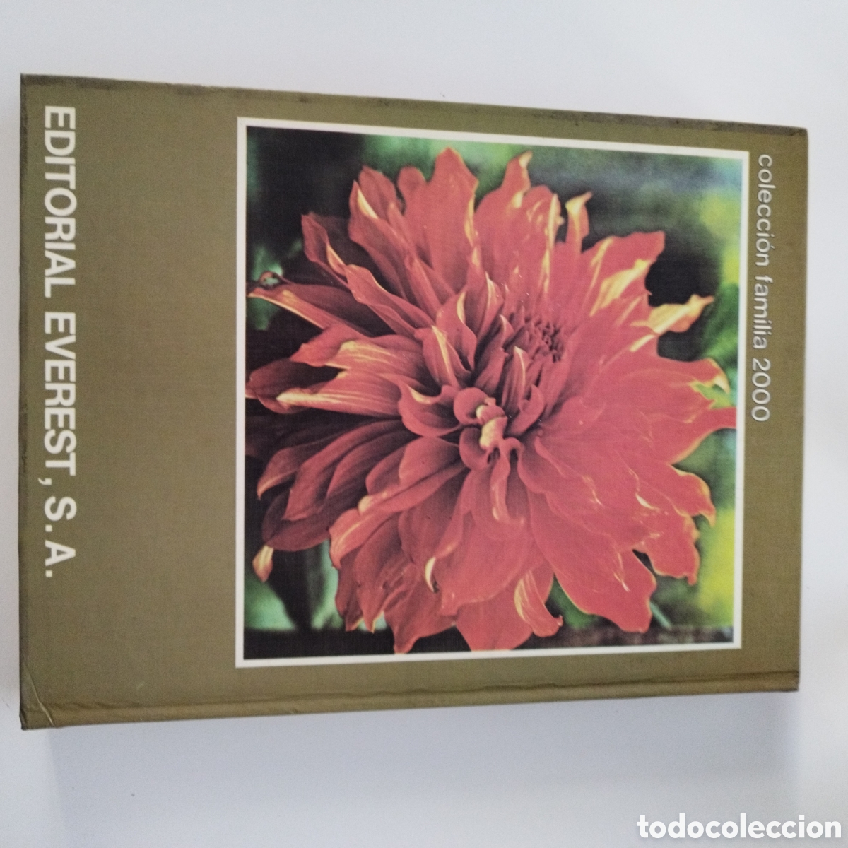 Libros de segunda mano: LIBRO / PLANTAS Y FLORES / ED. EVEREST / 1981 - Foto 4
