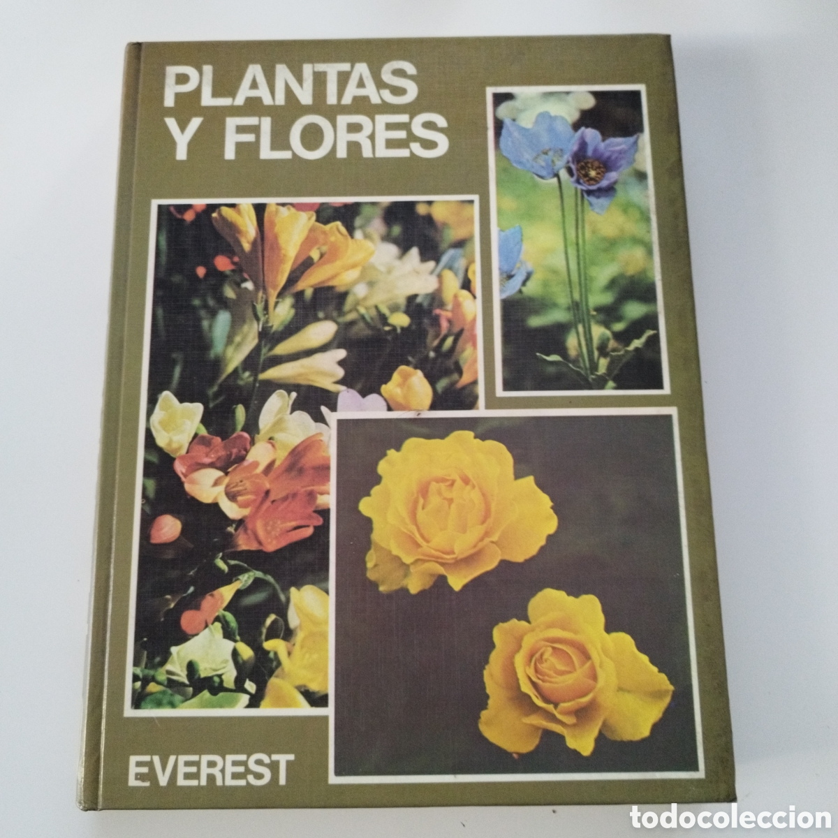 Libri di seconda mano: LIBRO / PLANTAS Y FLORES / ED. EVEREST / 1981