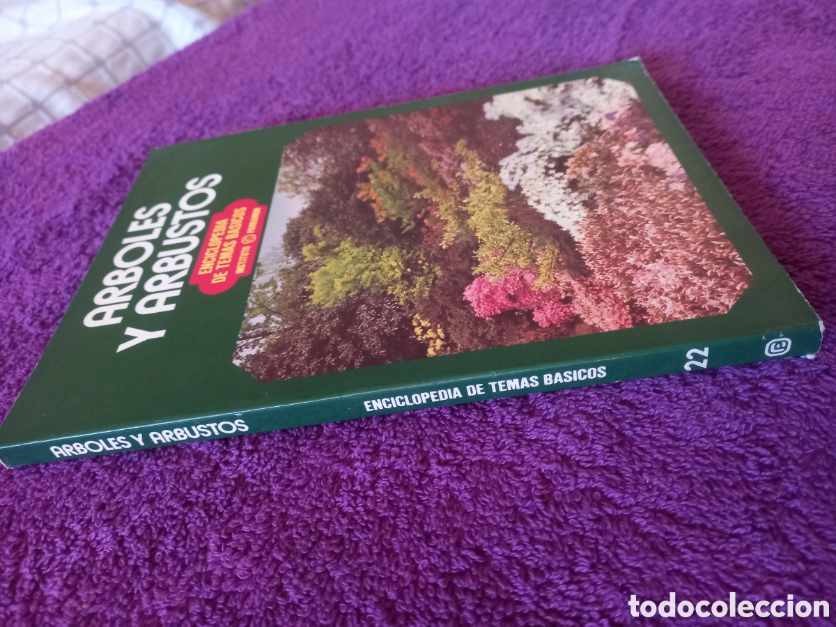 Libros de segunda mano: &Aacute;rboles y arbustos. Enciclopedia de temas b&aacute;sicos. Instituto Parramon. - Foto 2