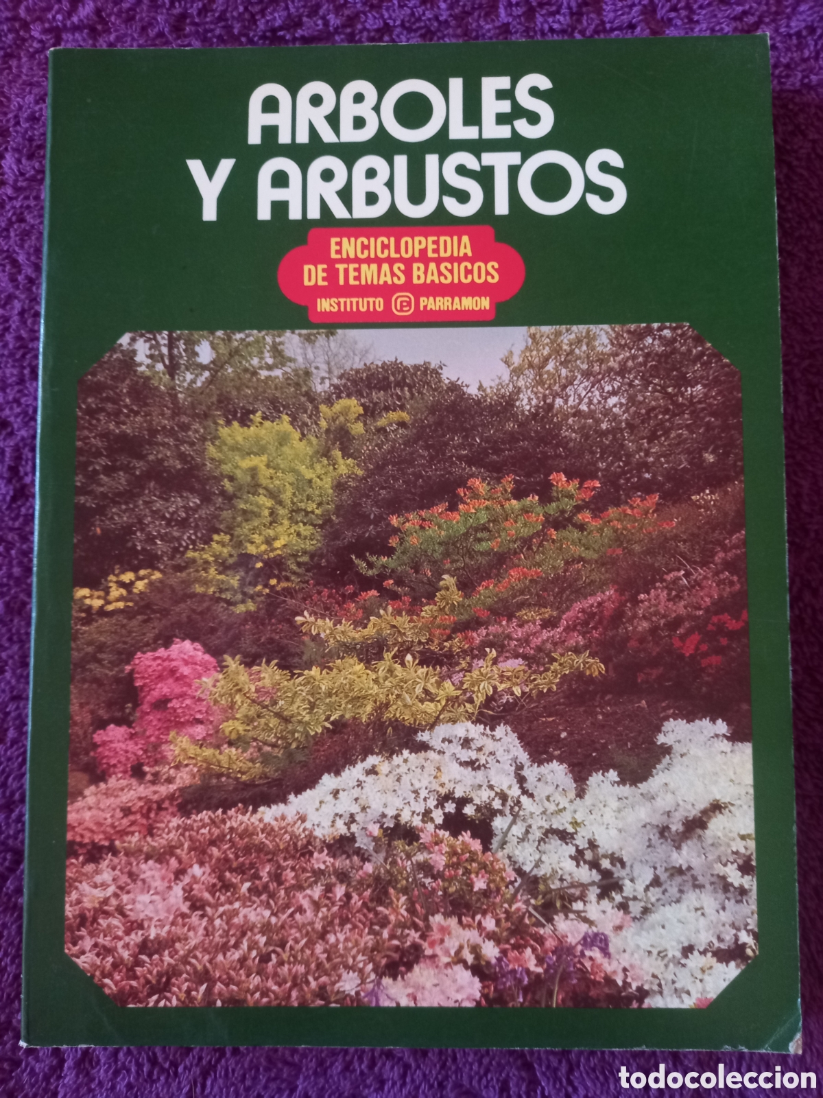 Libros de segunda mano: &Aacute;rboles y arbustos. Enciclopedia de temas b&aacute;sicos. Instituto Parramon. - Foto 1