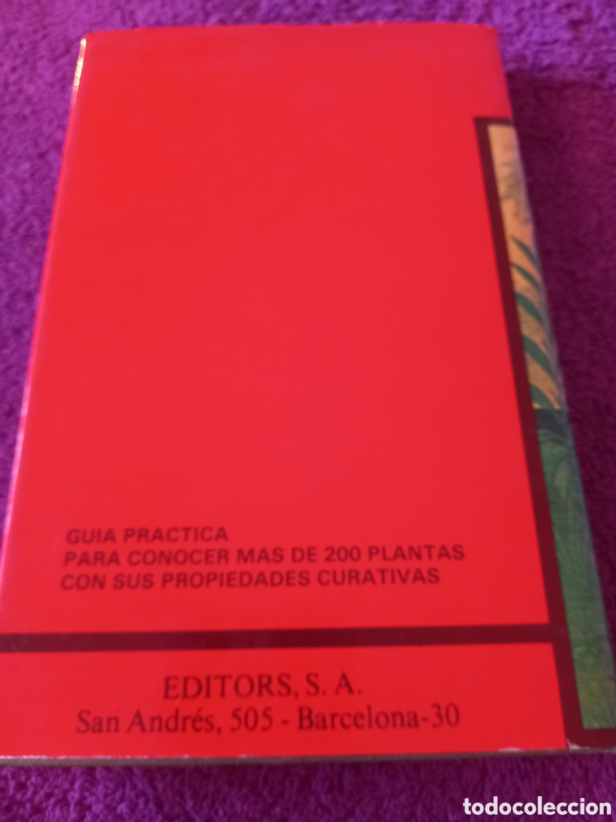 Libros de segunda mano: Diccionario de las plantas medicinales. - Foto 3
