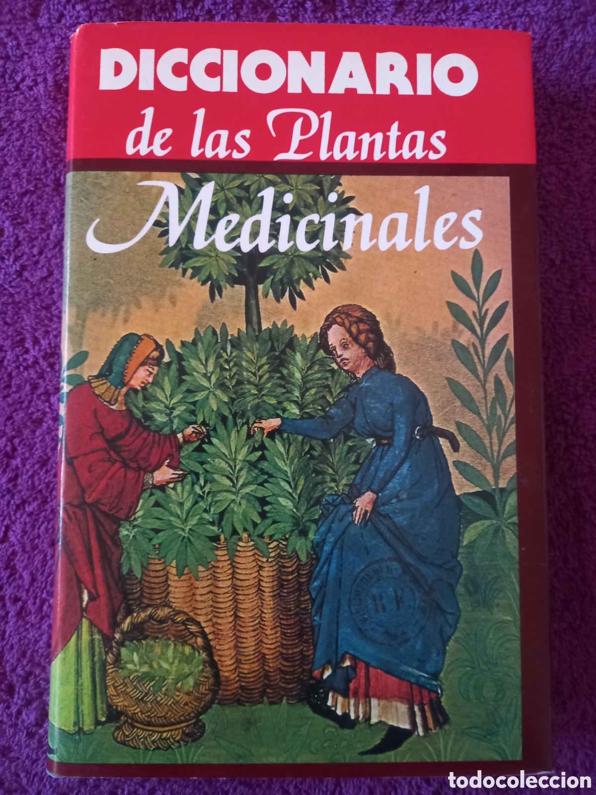 Libros de segunda mano: Diccionario de las plantas medicinales. - Foto 1