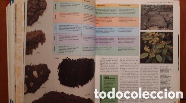 Libros de segunda mano: MI JARDIN - 5 TOMOS (COMPLETA) EDICIONES RIALP 1992 - Foto 5