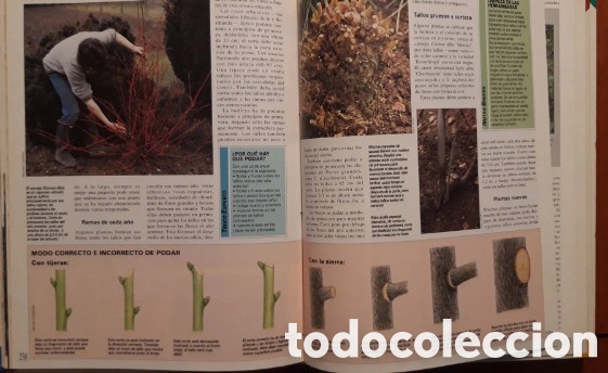 Libros de segunda mano: MI JARDIN - 5 TOMOS (COMPLETA) EDICIONES RIALP 1992 - Foto 6