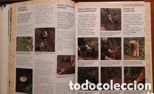Libros de segunda mano: MI JARDIN - 5 TOMOS (COMPLETA) EDICIONES RIALP 1992 - Foto 9