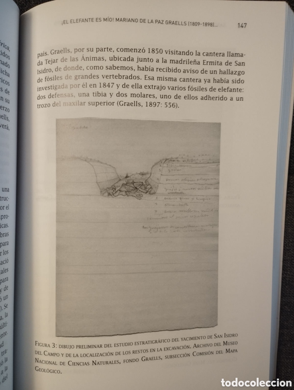 Libros de segunda mano: NATURALISTAS EN DEBATE (CSIC) - Foto 6