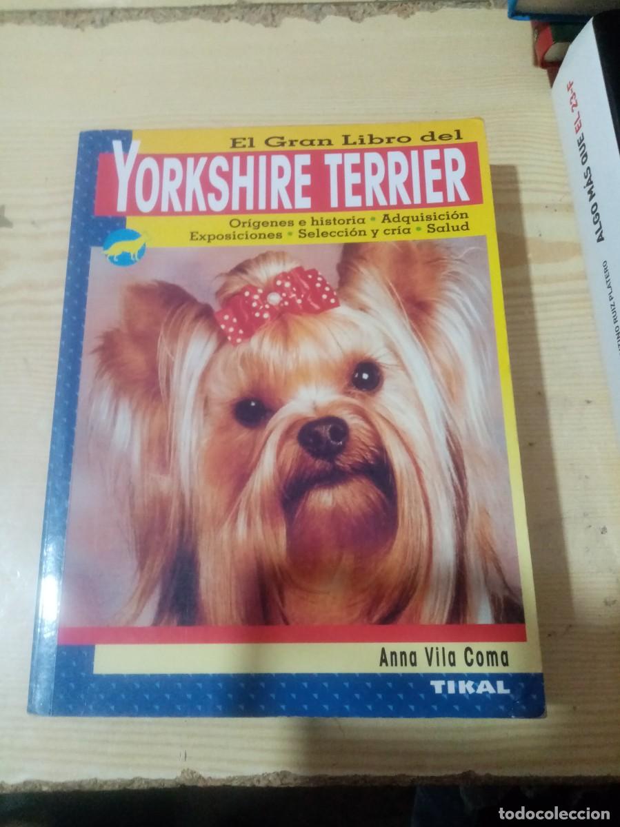 Libros de segunda mano: EL GRAN LIBRO DEL YORKSHIRE TERRIER. ANNA VILA COMA. EST8B2 - Foto 1