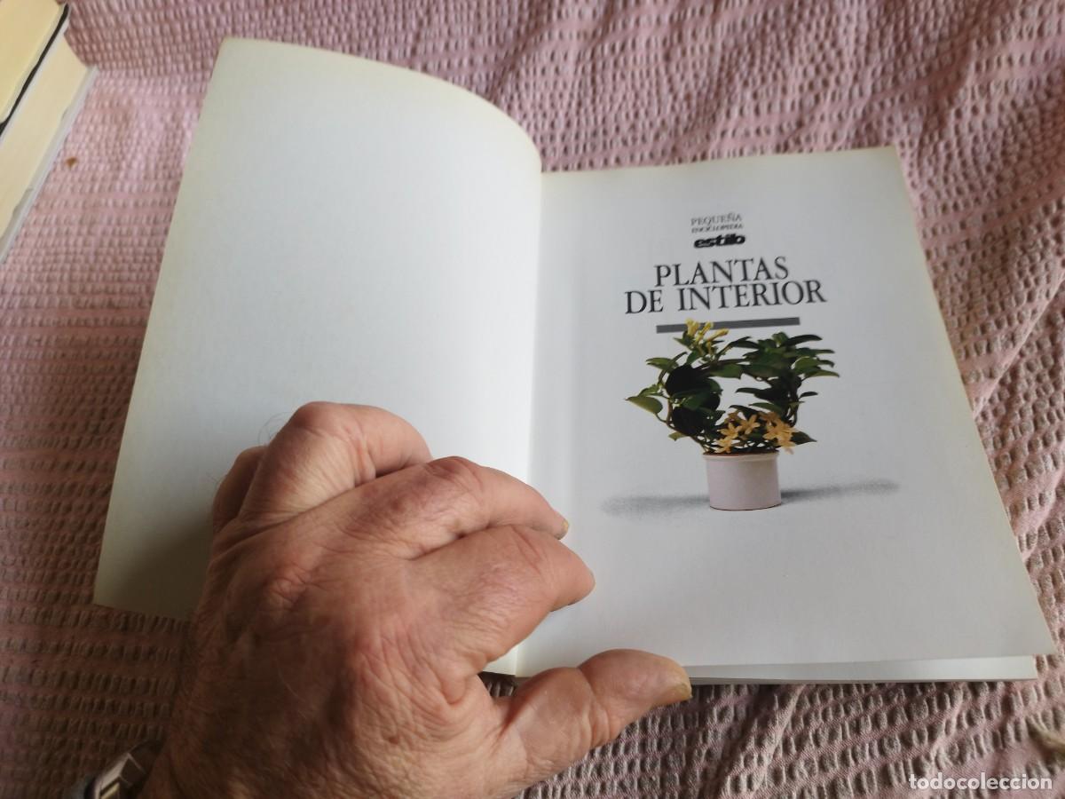Libros de segunda mano: PLANTAS DE INTERIOR / / EVA 255 / AGUILAR - Foto 3