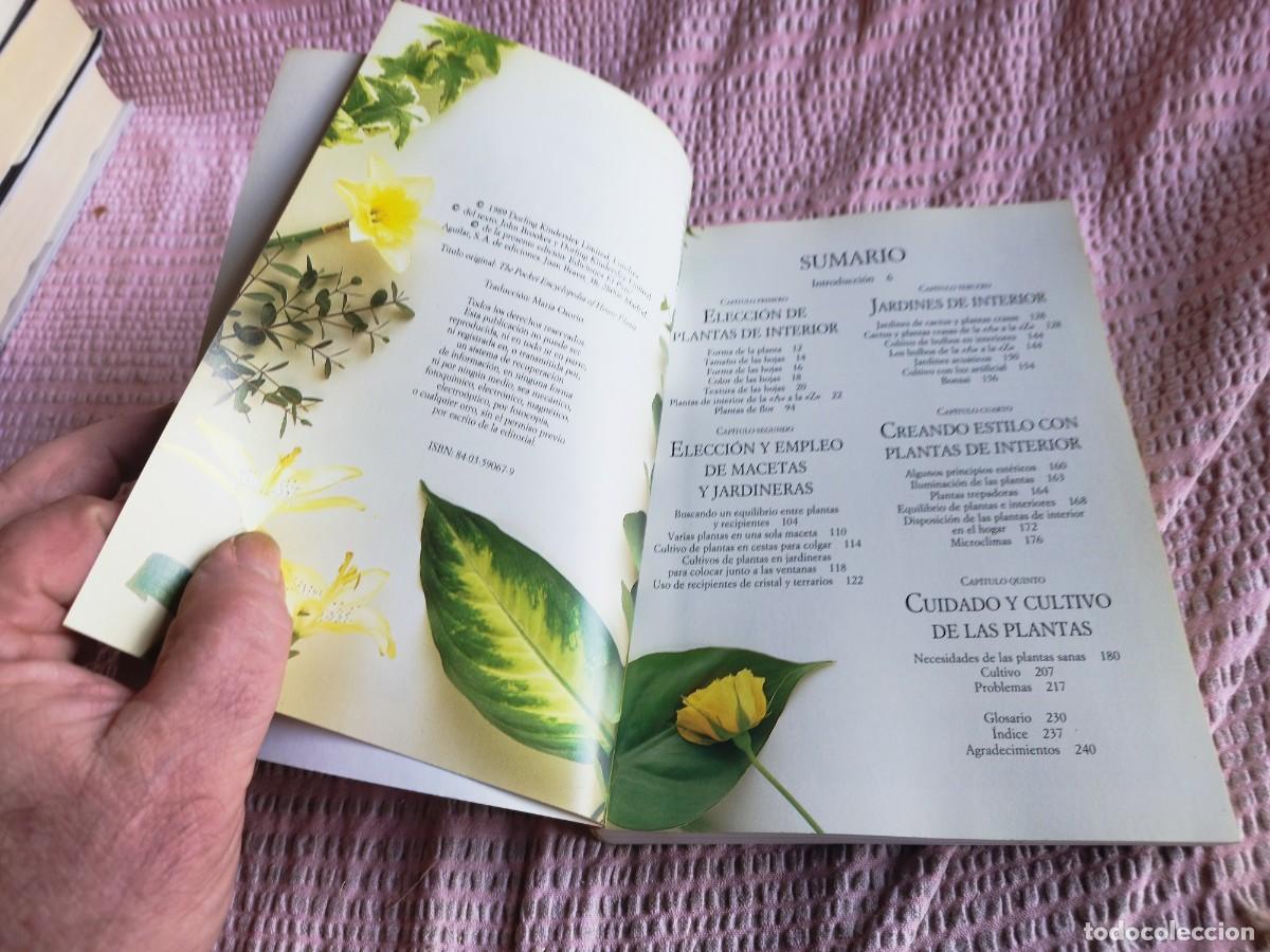 Libros de segunda mano: PLANTAS DE INTERIOR / / EVA 255 / AGUILAR - Foto 5