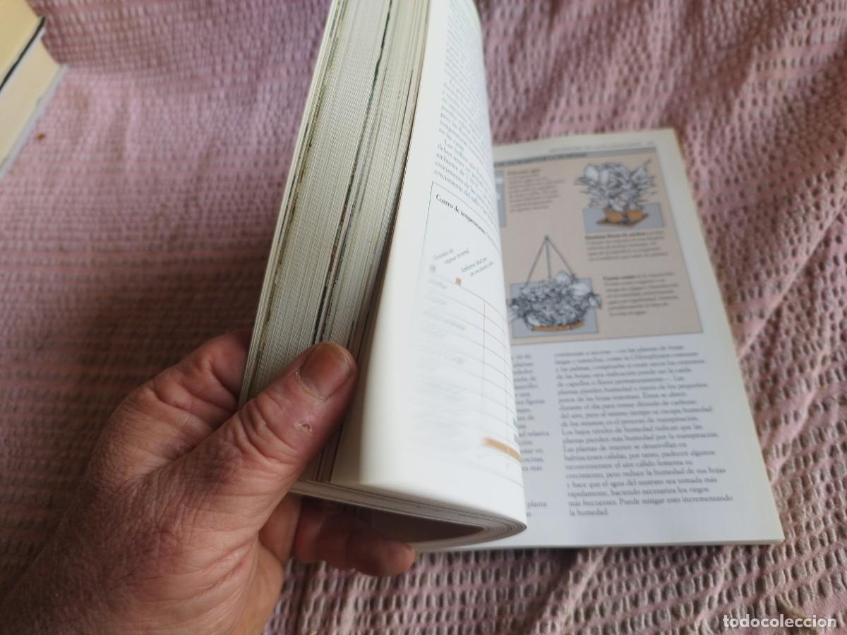 Libros de segunda mano: PLANTAS DE INTERIOR / / EVA 255 / AGUILAR - Foto 6