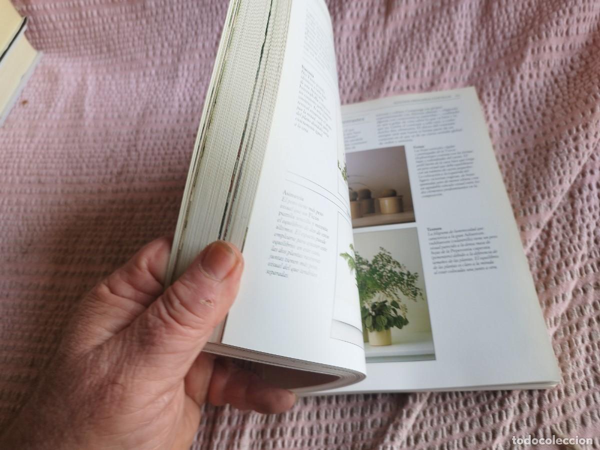 Libros de segunda mano: PLANTAS DE INTERIOR / / EVA 255 / AGUILAR - Foto 7