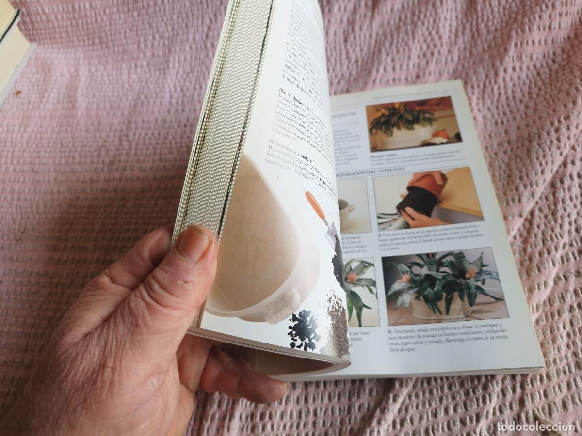Libros de segunda mano: PLANTAS DE INTERIOR / / EVA 255 / AGUILAR - Foto 8
