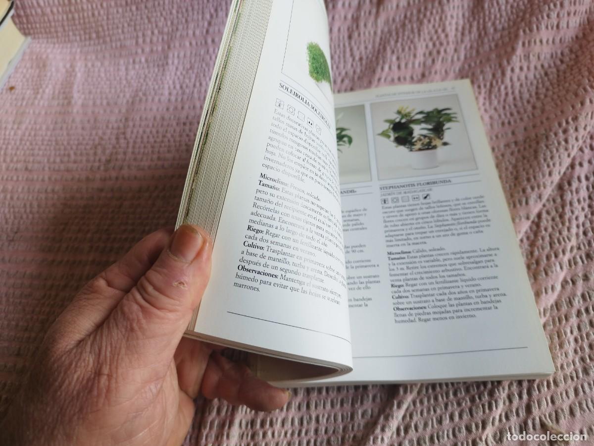 Libros de segunda mano: PLANTAS DE INTERIOR / / EVA 255 / AGUILAR - Foto 9