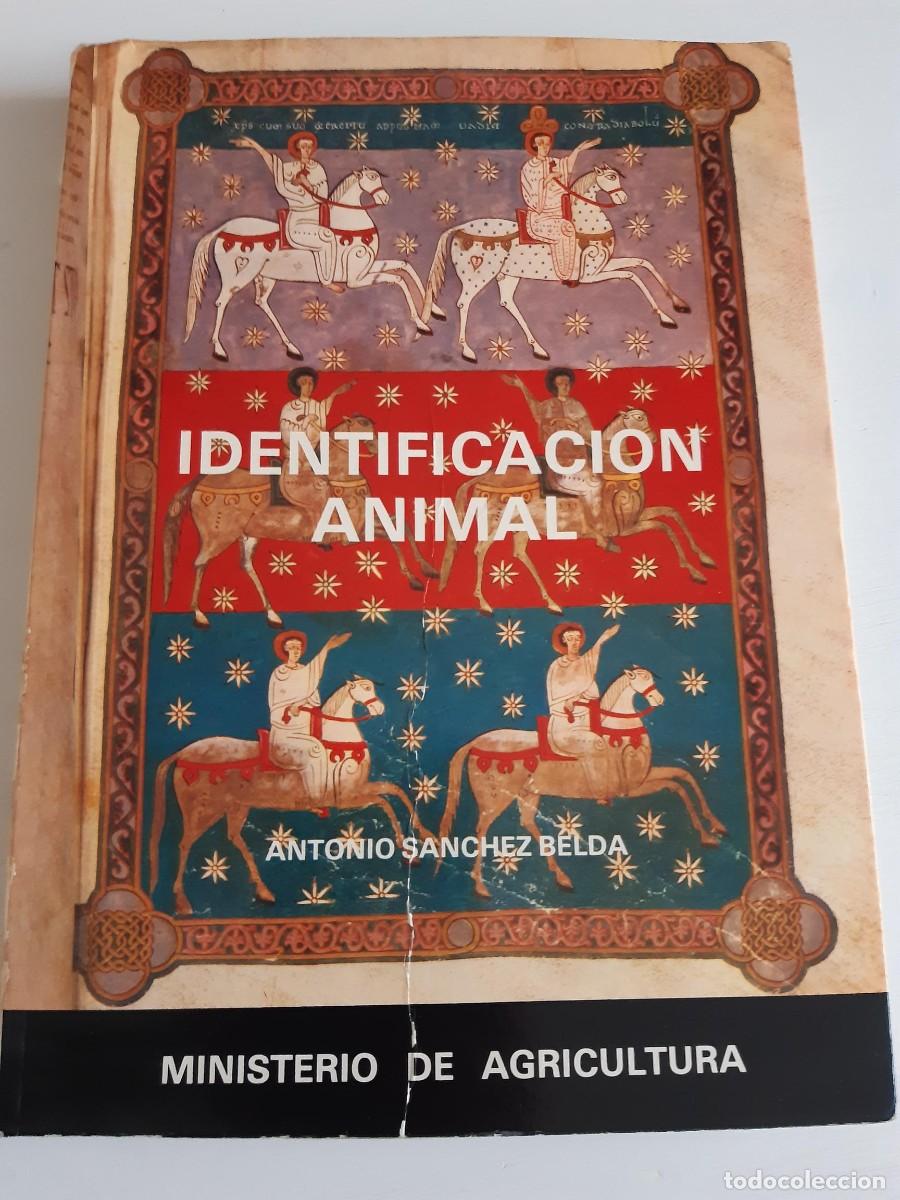 Libros de segunda mano: Identificaci&oacute;n animal Antonio Sanchez Belda - Foto 1