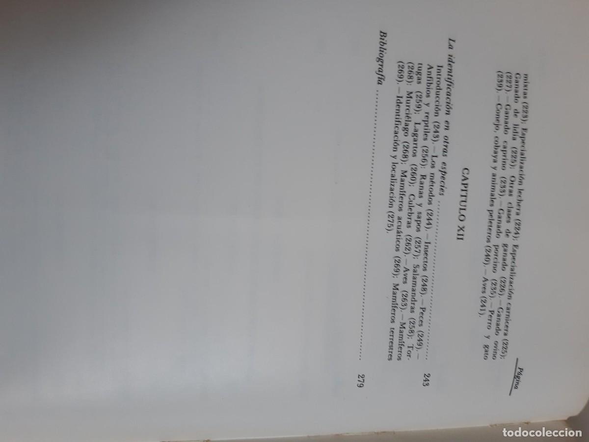Libros de segunda mano: Identificaci&oacute;n animal Antonio Sanchez Belda - Foto 5