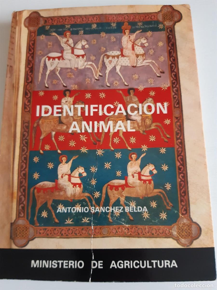 Libros de segunda mano: Identificaci&oacute;n animal Antonio Sanchez Belda - Foto 6