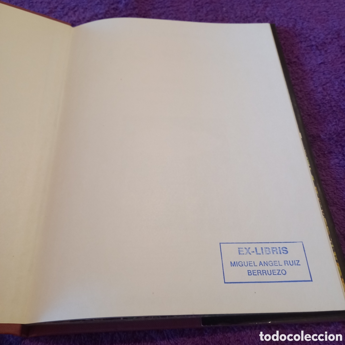 Libros de segunda mano: Las setas. Colecci&oacute;n La naturaleza. Ediciones Castell. - Foto 4