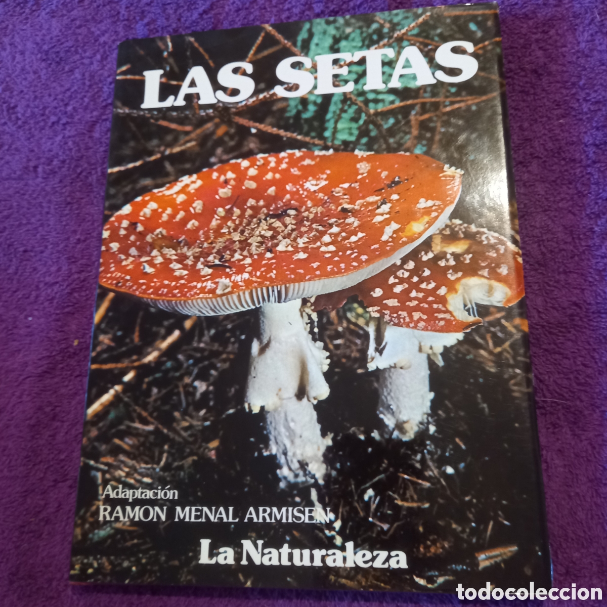 Libros de segunda mano: Las setas. Colecci&oacute;n La naturaleza. Ediciones Castell. - Foto 1