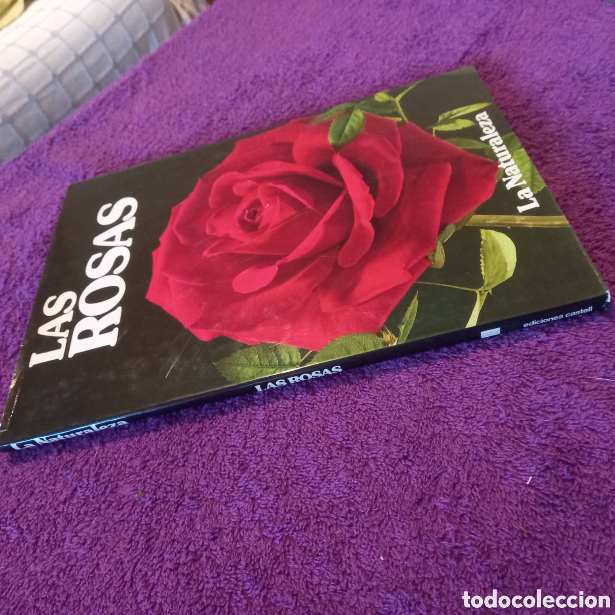 Libros de segunda mano: Las rosas. Colecci&oacute;n La naturaleza. Ediciones Castell. - Foto 2