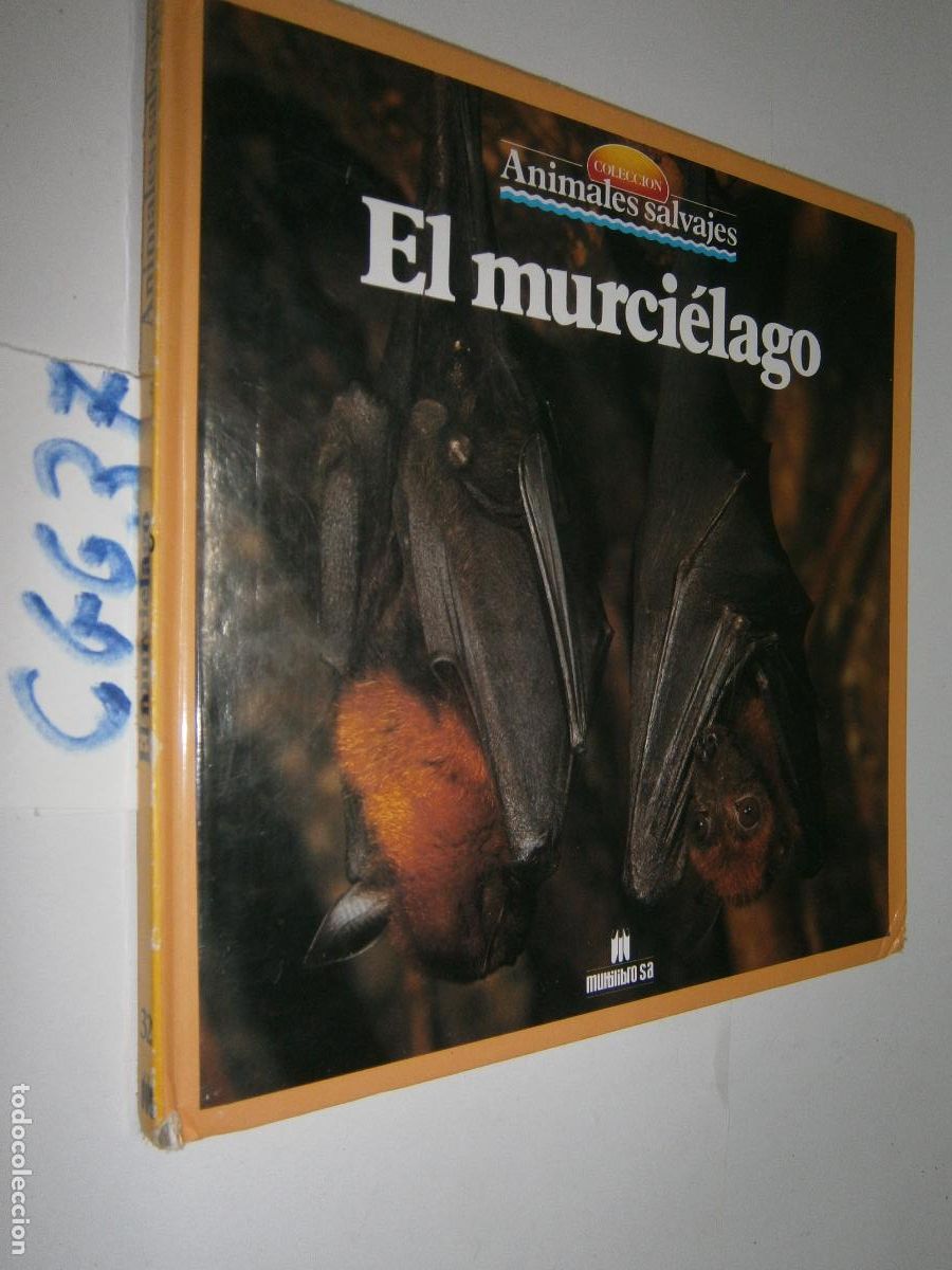 Libros de segunda mano: ANIMALES SALVAJES - EL MURCIELAGO - Foto 1