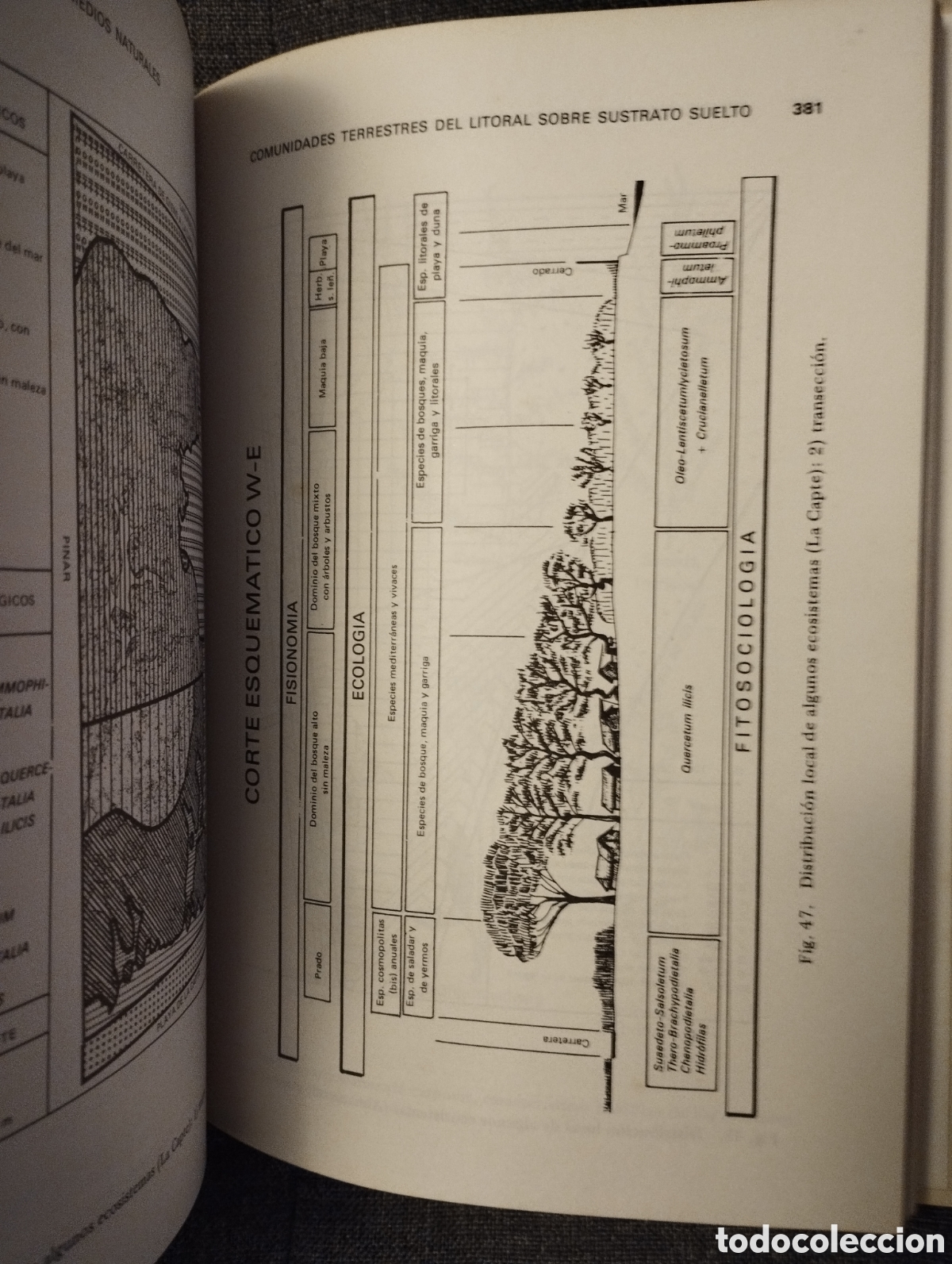 Libros de segunda mano: INTRODUCCION A LA ECOBIOCENOLOGIA (ROGER MOLINIER / PIERRE VIGNES) - Foto 12