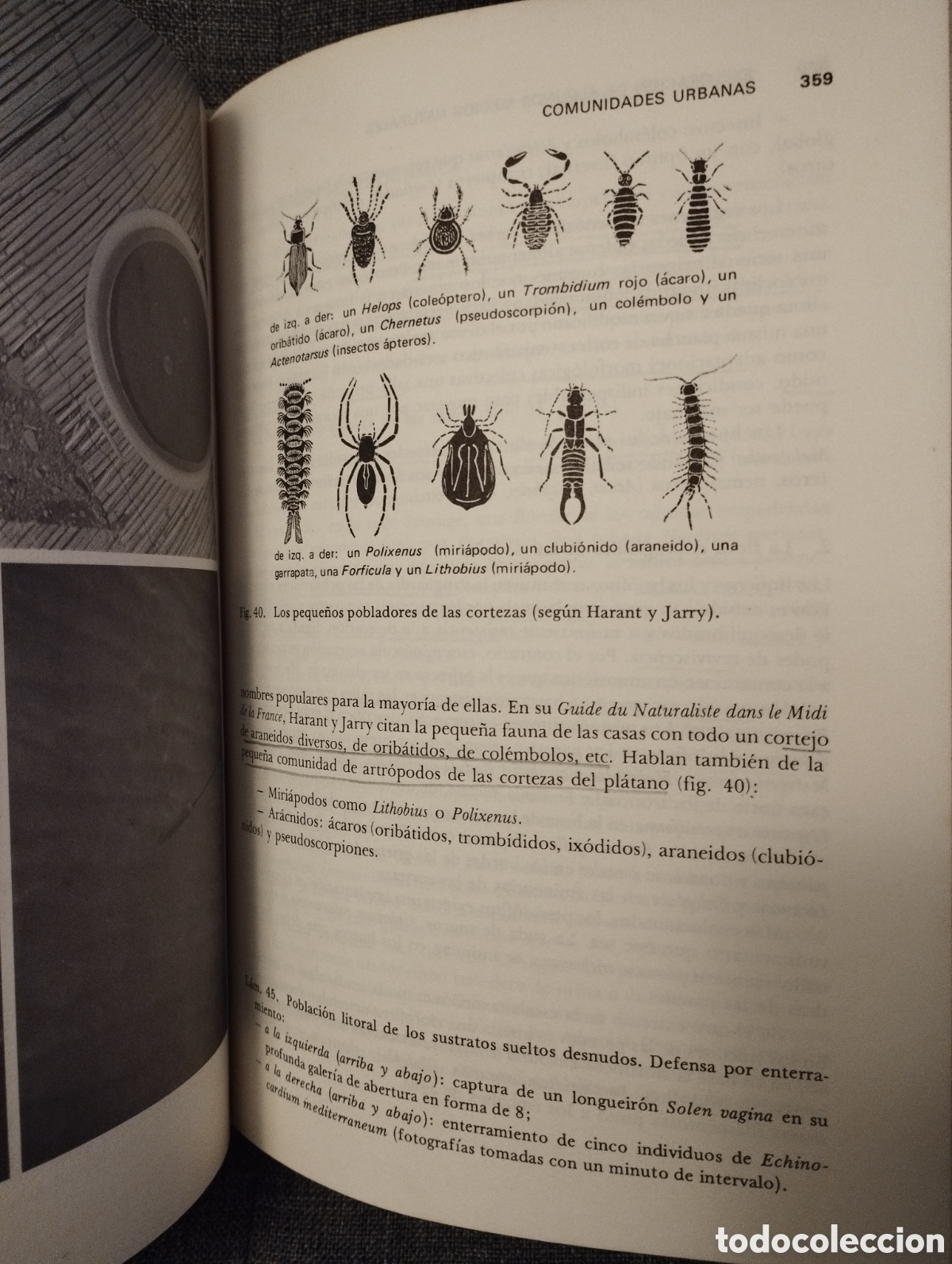 Libros de segunda mano: INTRODUCCION A LA ECOBIOCENOLOGIA (ROGER MOLINIER / PIERRE VIGNES) - Foto 13
